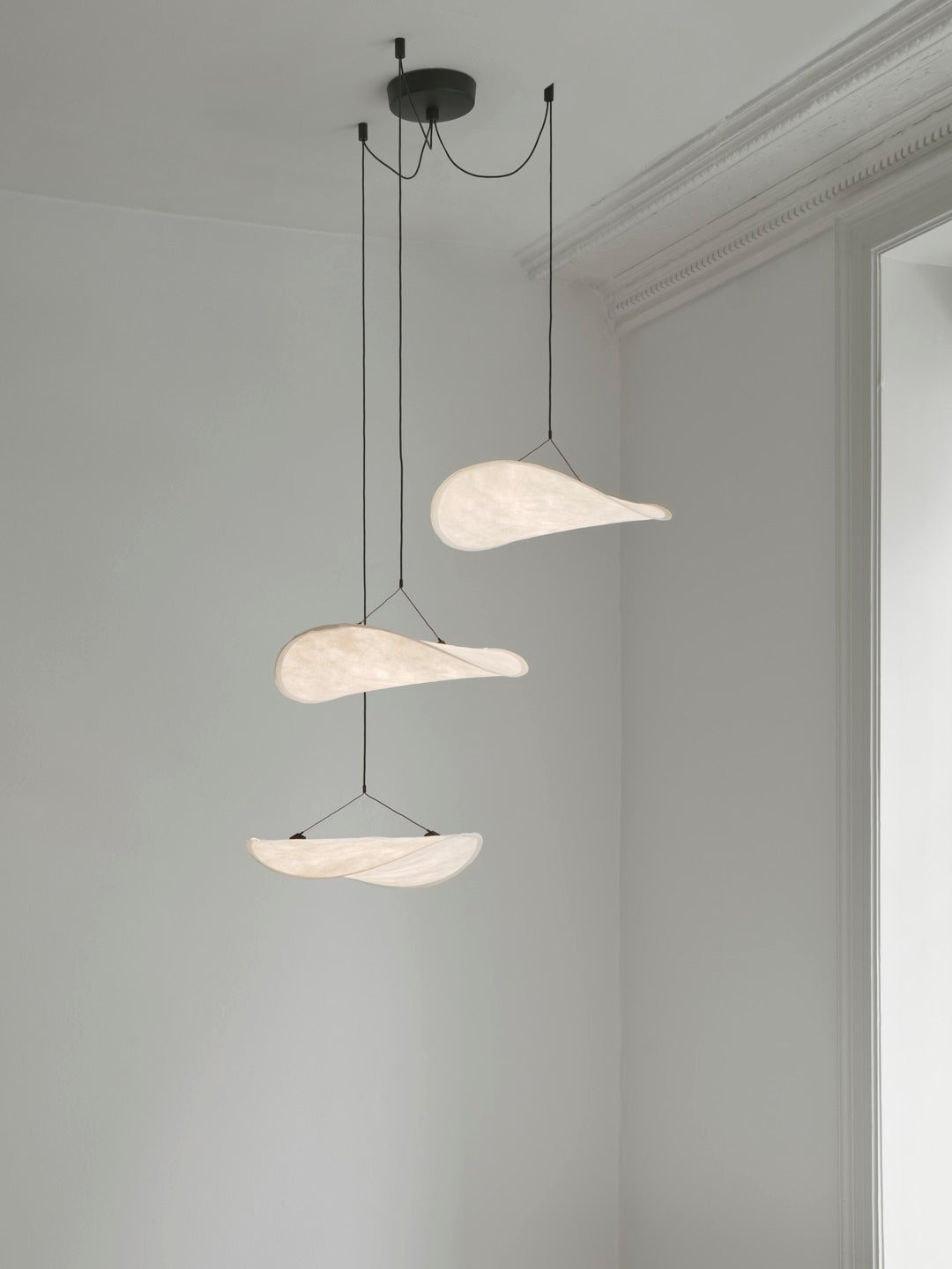 Tense Chandelier 55
