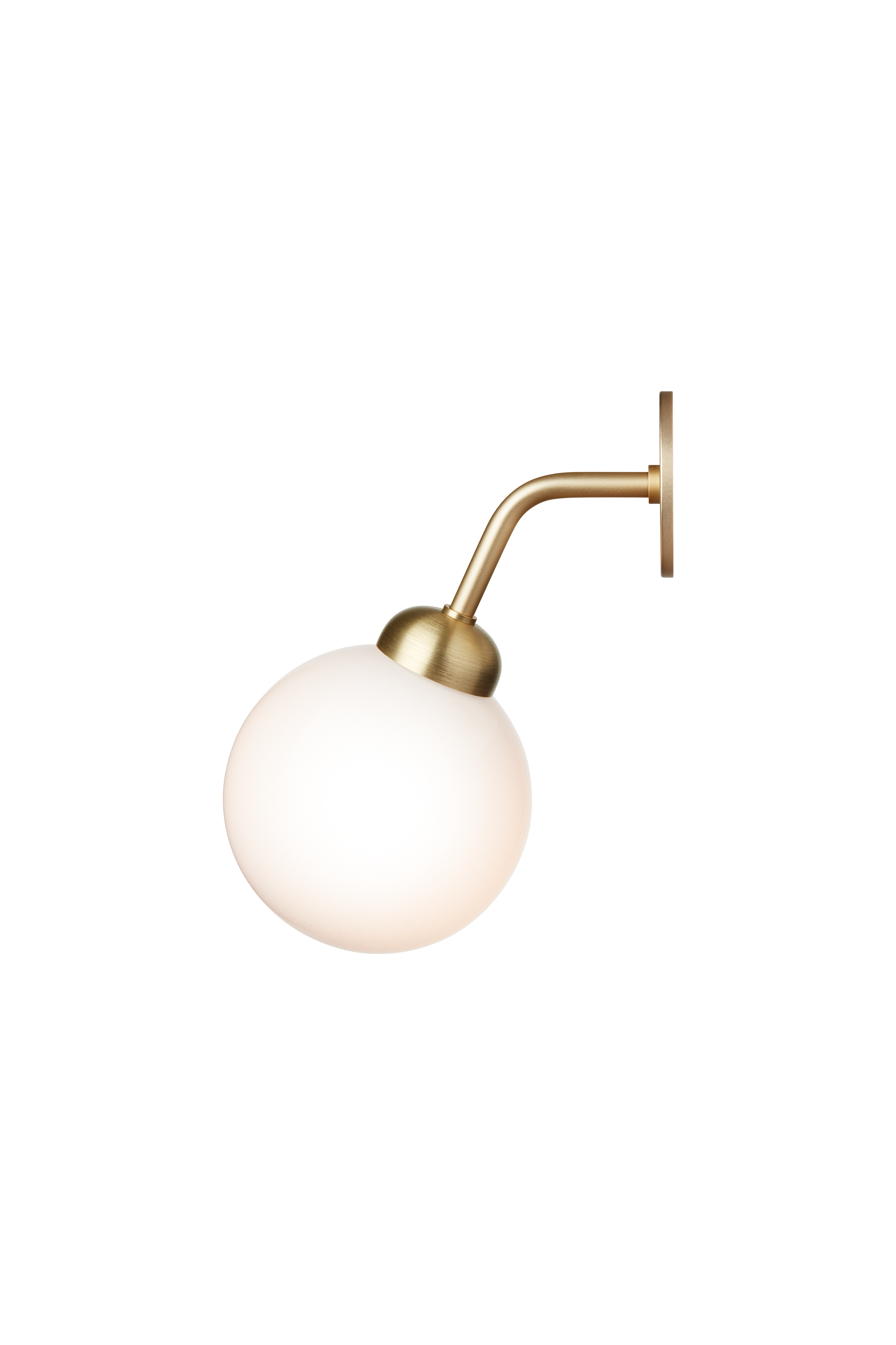 Apiales Wall Light