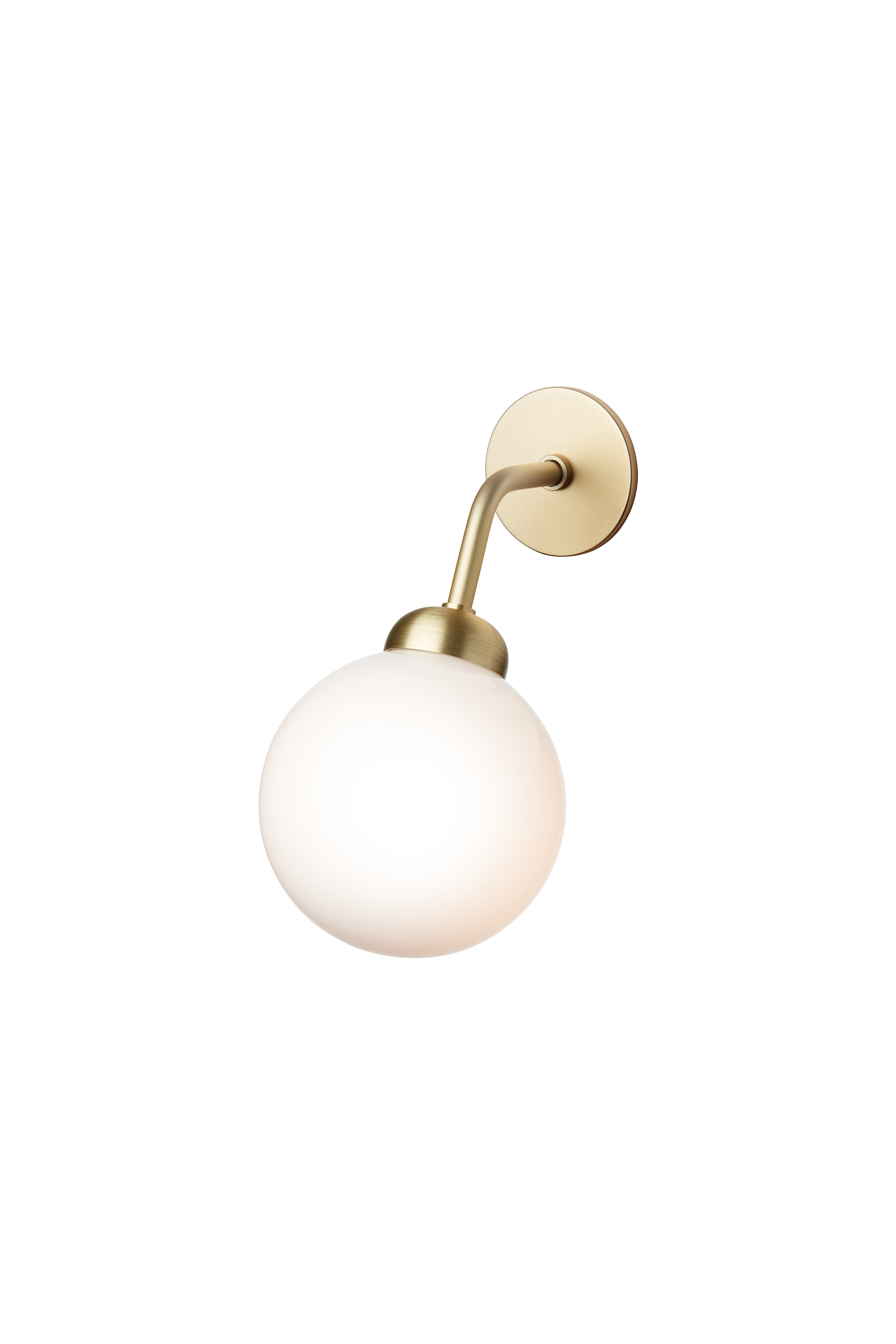 Apiales Wall Hard-Wired