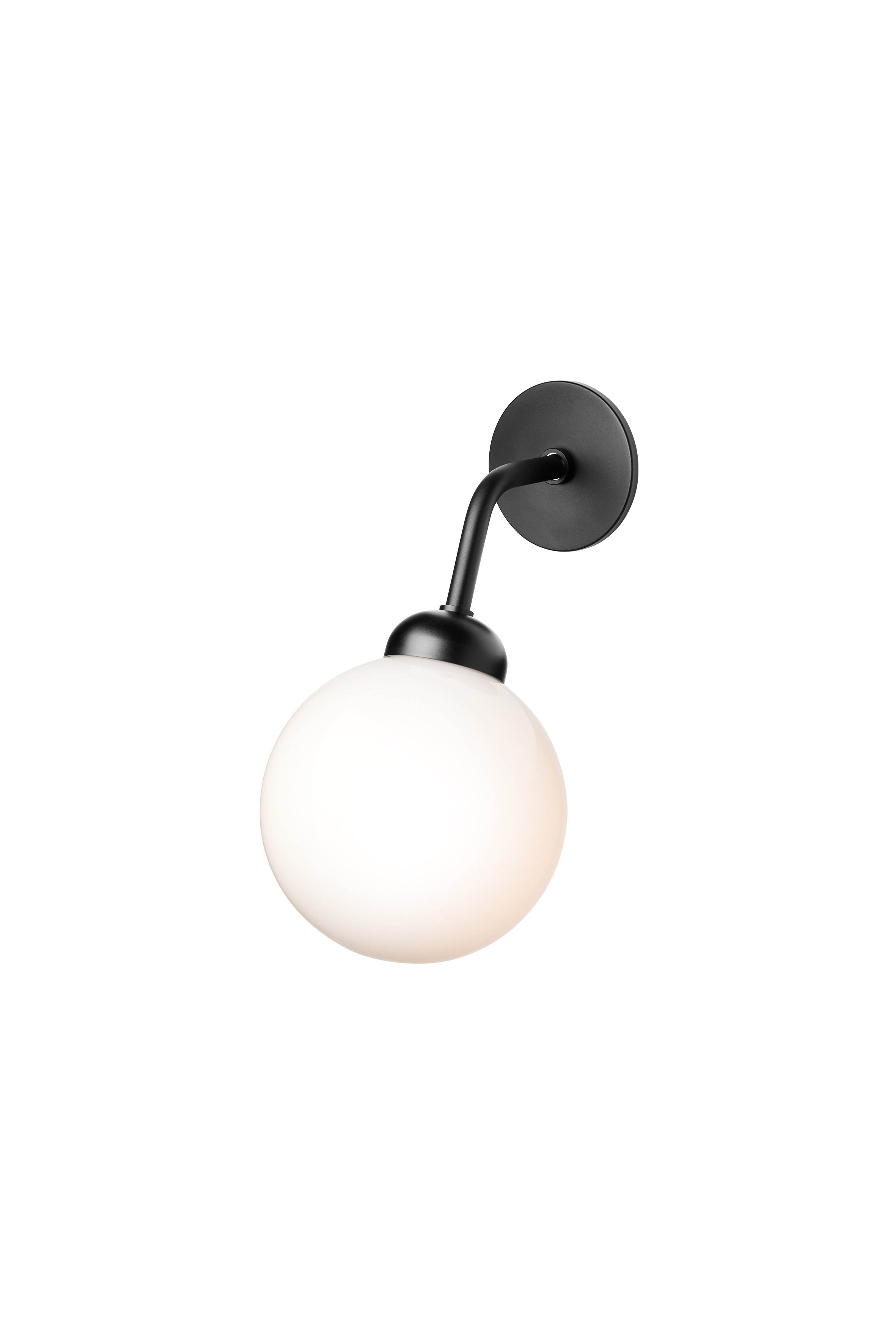 Apiales Wall Hard-Wired