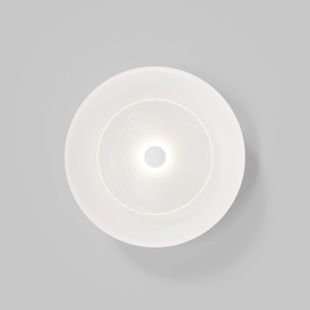 Coral Dome Wall Light - Clear