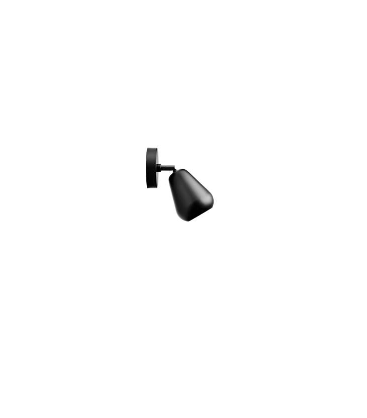 Anoli Spot Surface