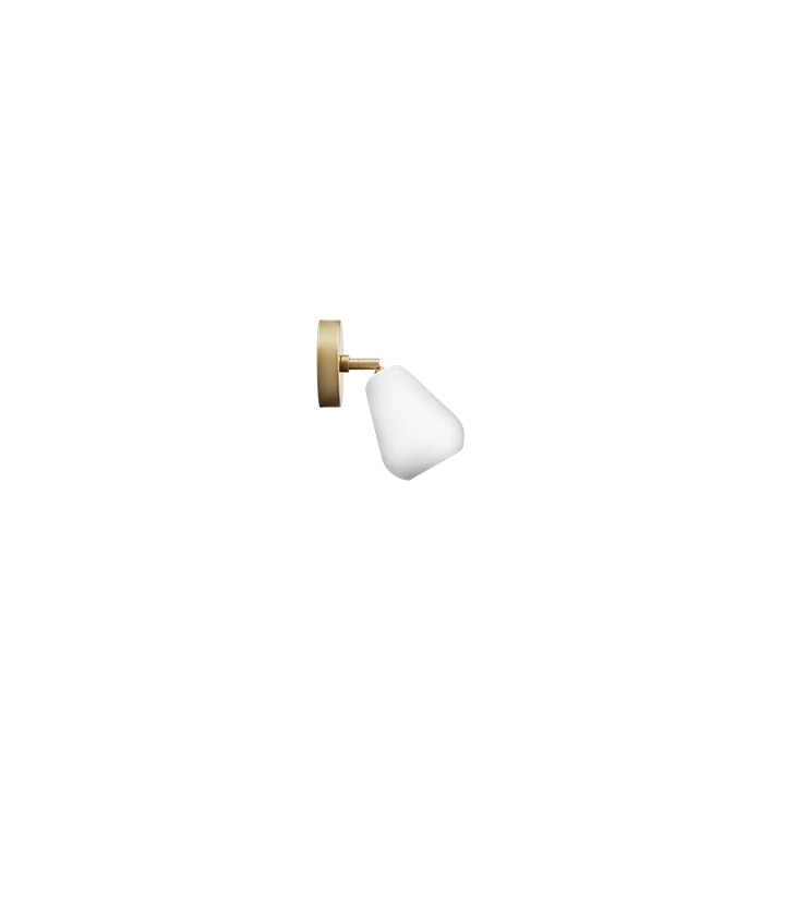 Anoli Spot Surface