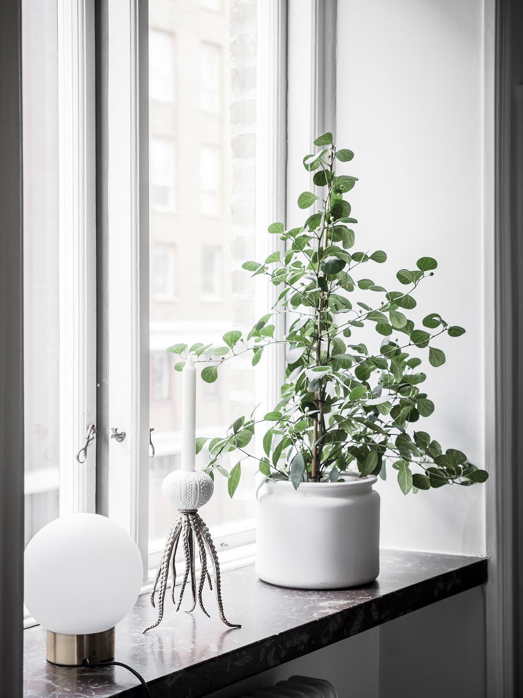 Enduring Trend of 2019 #2 Living form of Interior - Plants and Plant decor