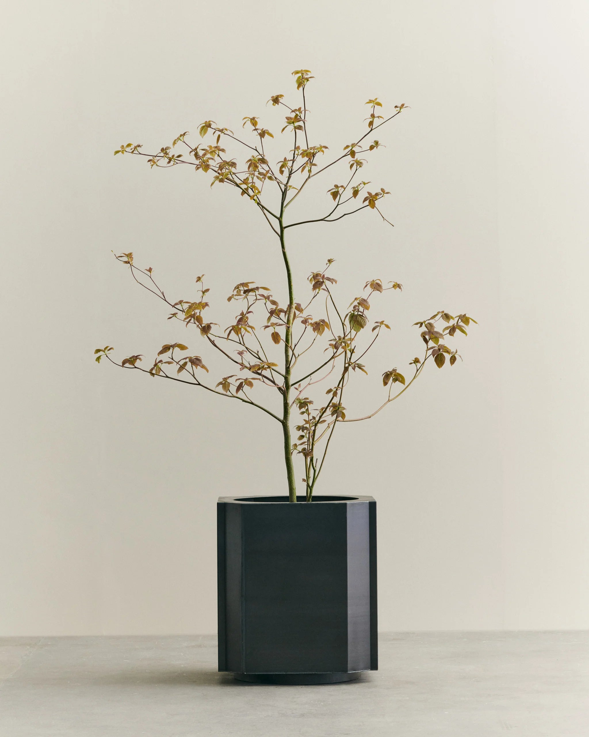 Funki Pot X-Large