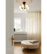 Apiales 6 Ceiling
