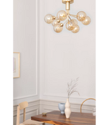 Apiales 9 Ceiling
