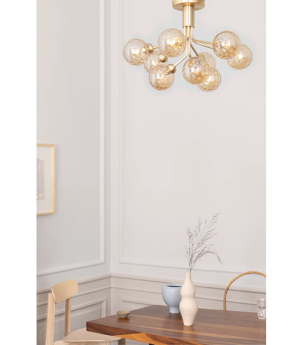 Apiales 9 Ceiling