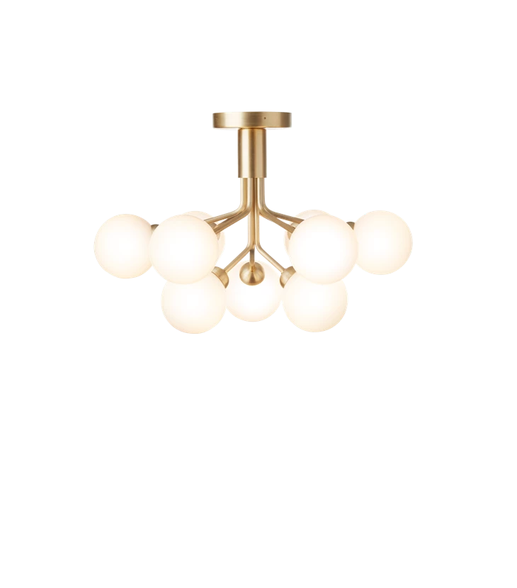 Apiales 9 Ceiling