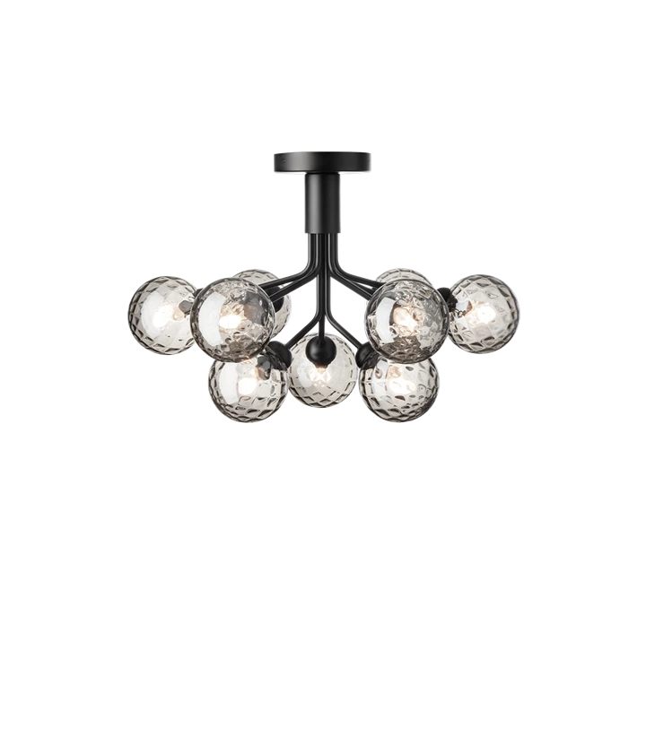 Apiales 9 Ceiling