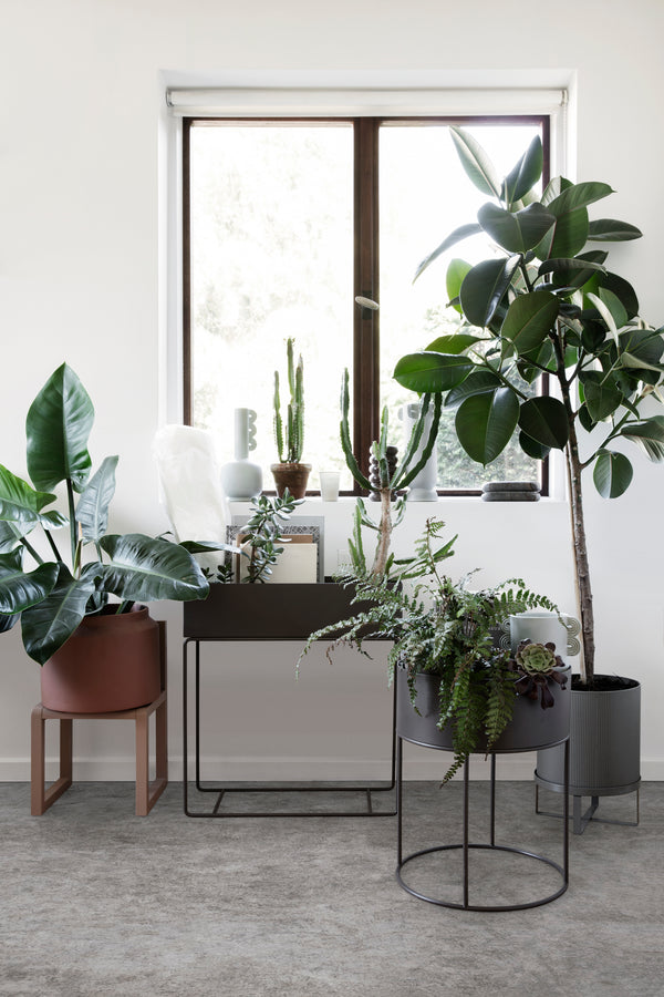 Plant Box - Black