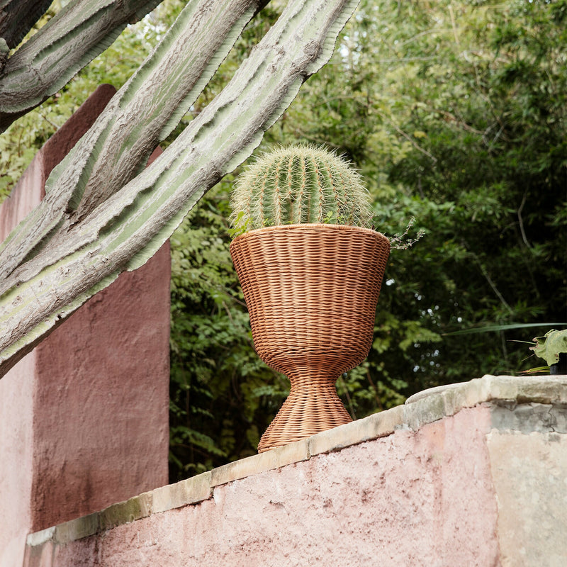 Agnes Plant Stand - Low - Natural