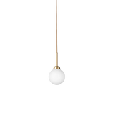 Apiales 1 - Brushed Brass / Opal