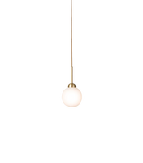 Apiales 1 - Brushed Brass / Opal