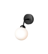 Apiales Wall - Satin Black / Opal